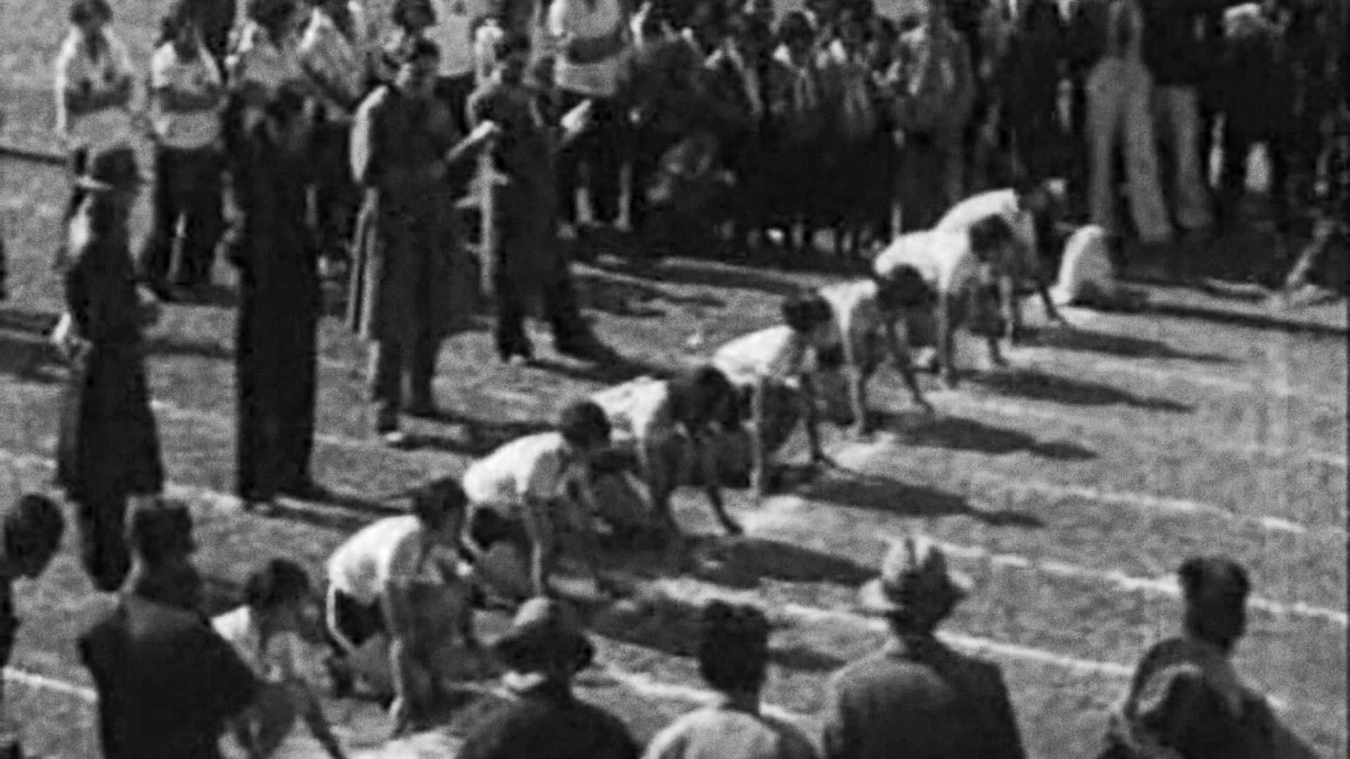 Backdrop for Queen of Sports