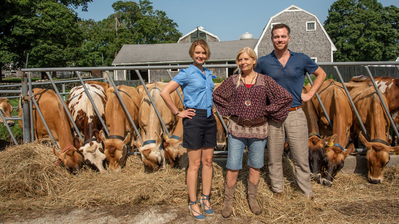 Backdrop for Katie Fforde: Wachgeküsst