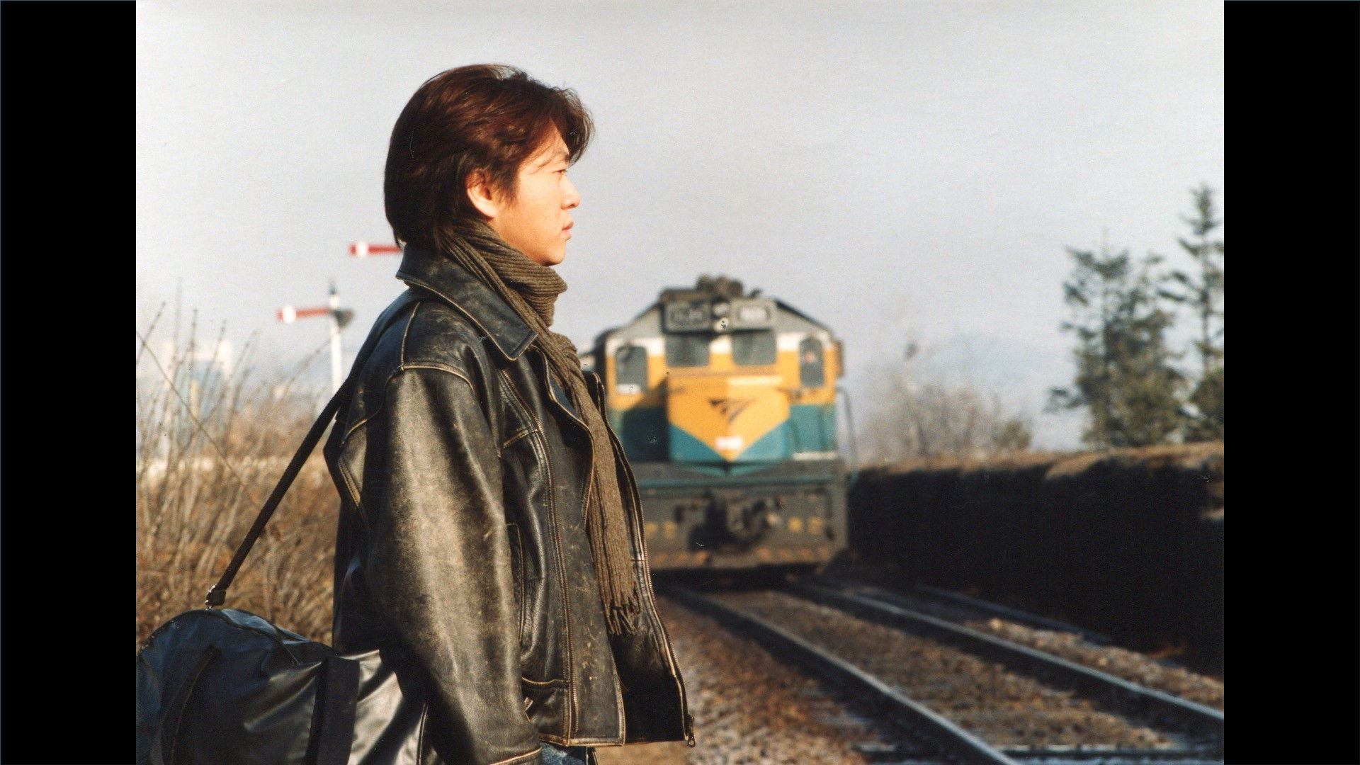 Backdrop for Jungle Story