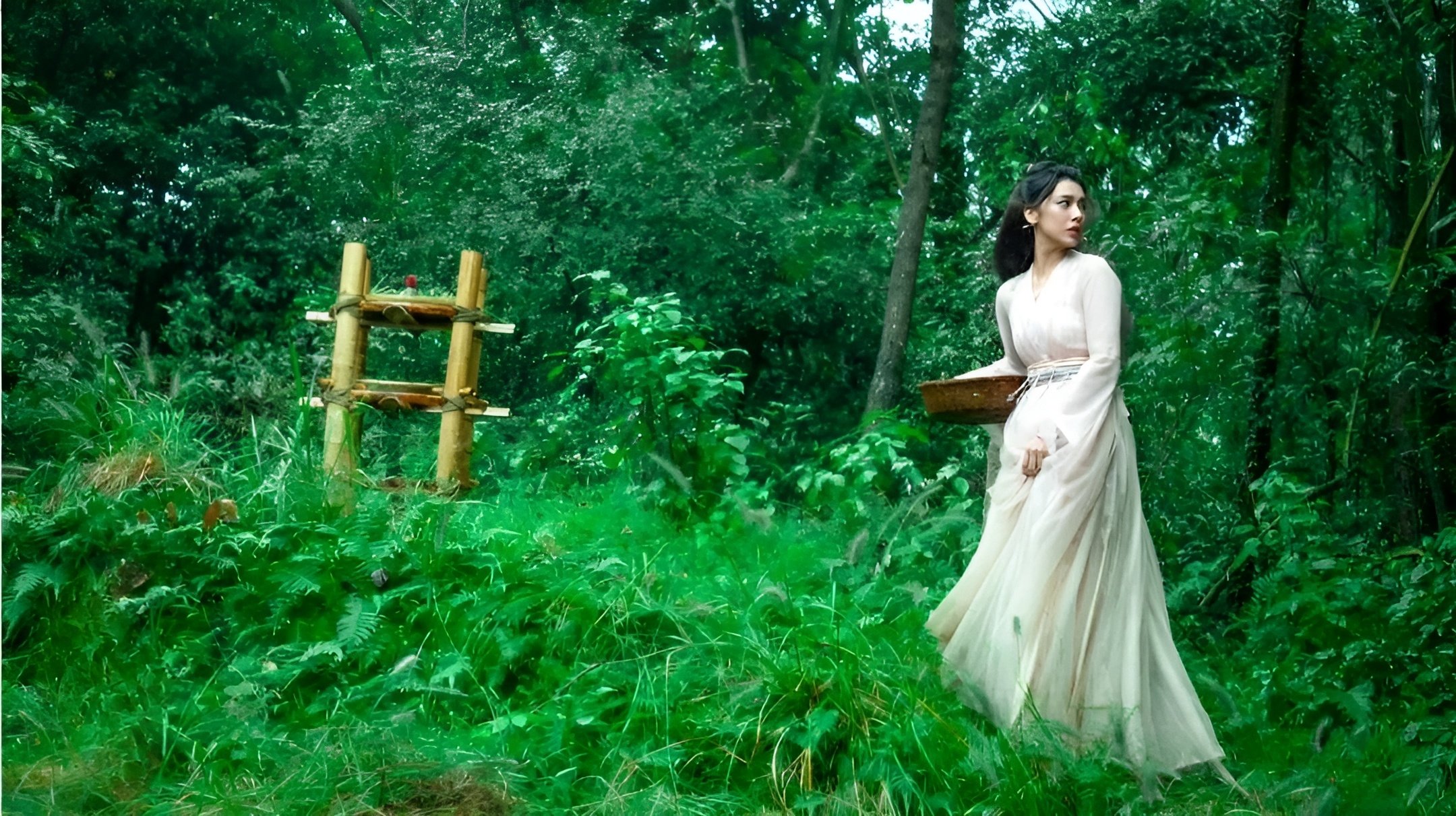 Backdrop for Fly to the Moon