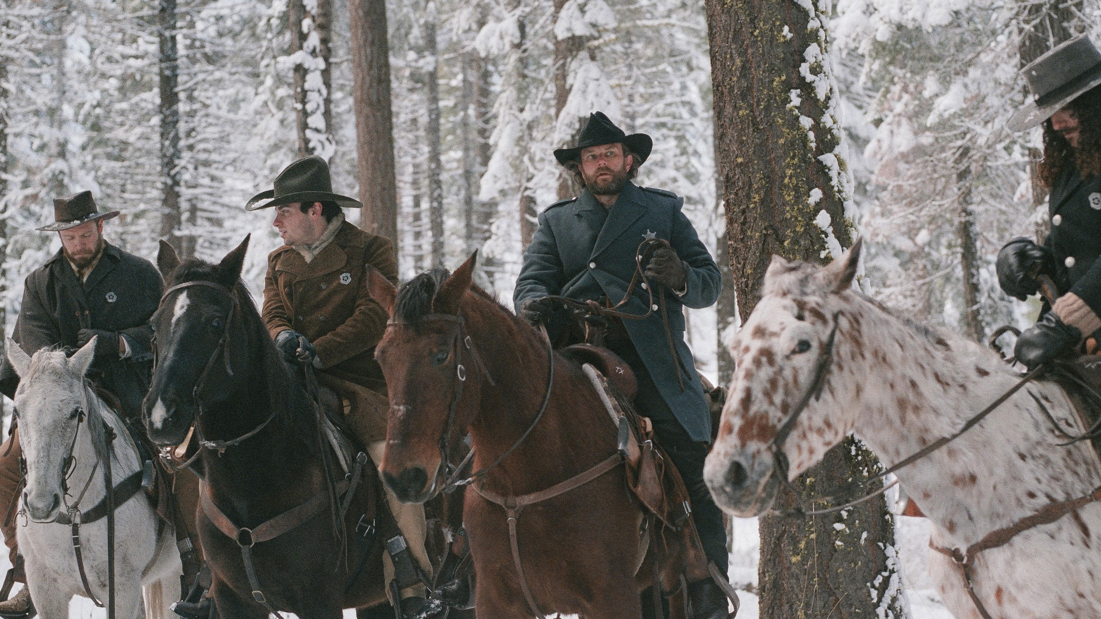 Backdrop for Low Midnight