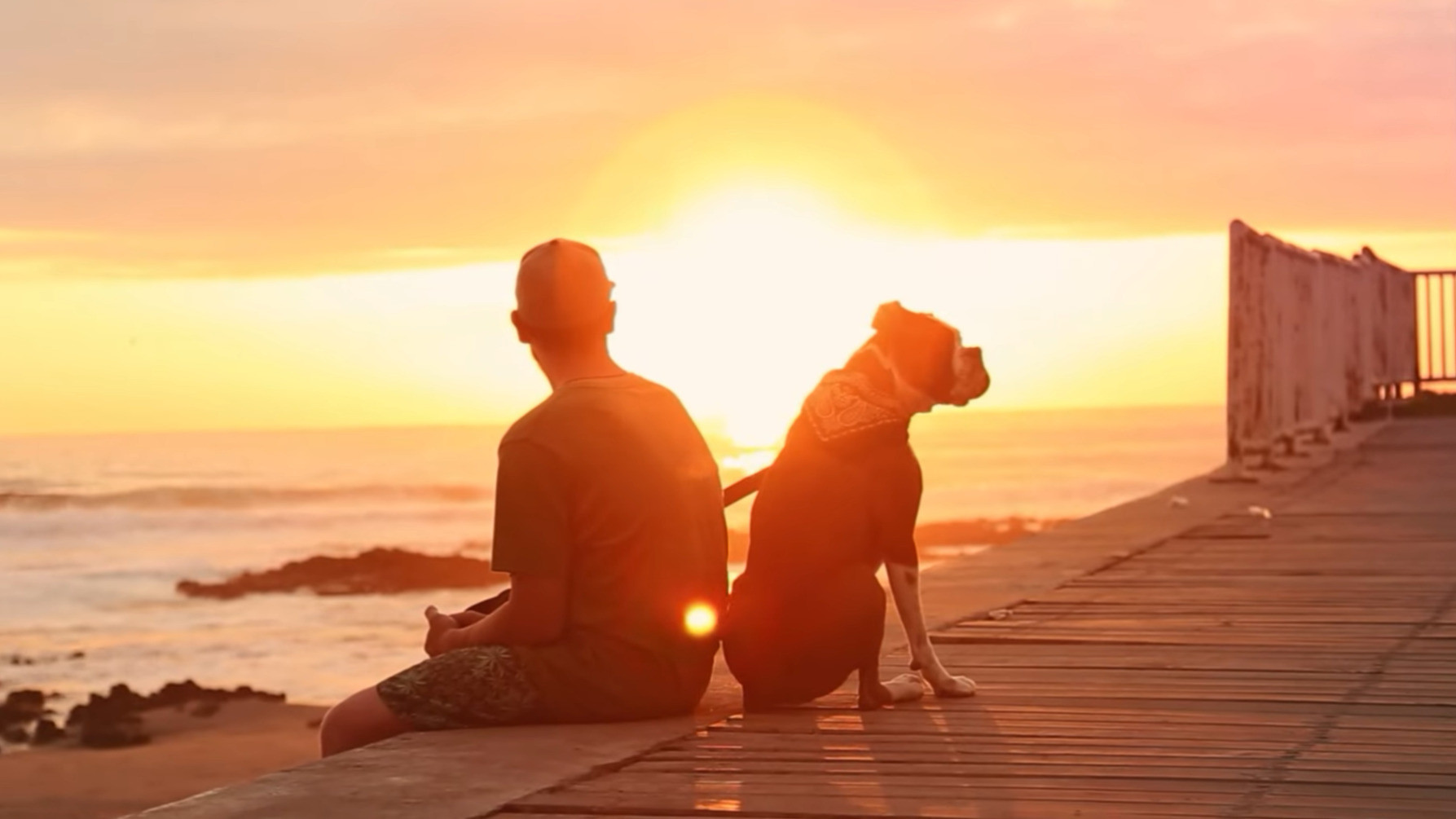 Backdrop for Pirata's Road Trip