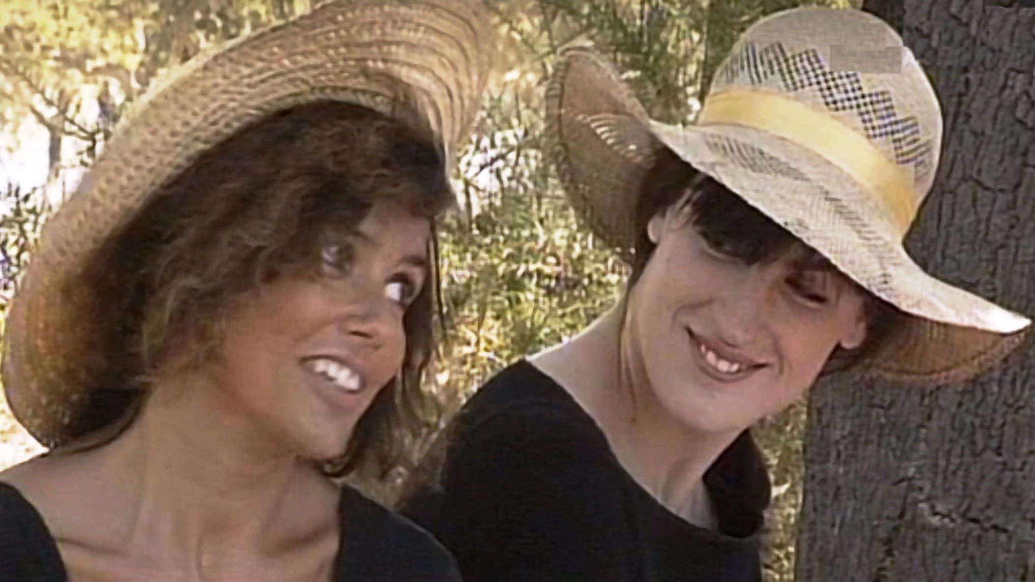 Backdrop for Crónica do Tempo