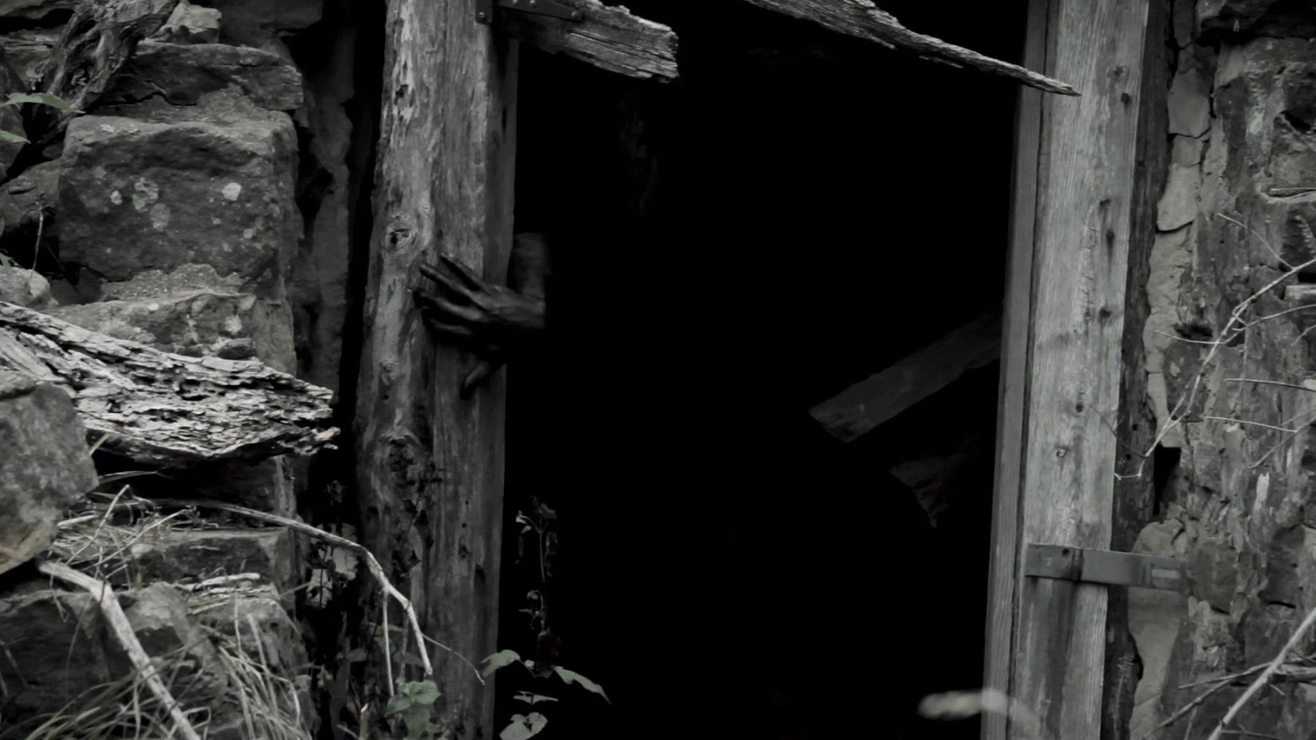 Backdrop for Folklore