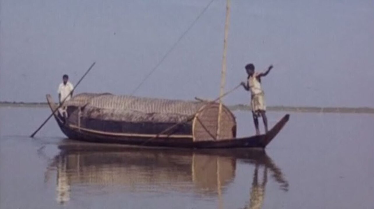 Backdrop for Old Barak