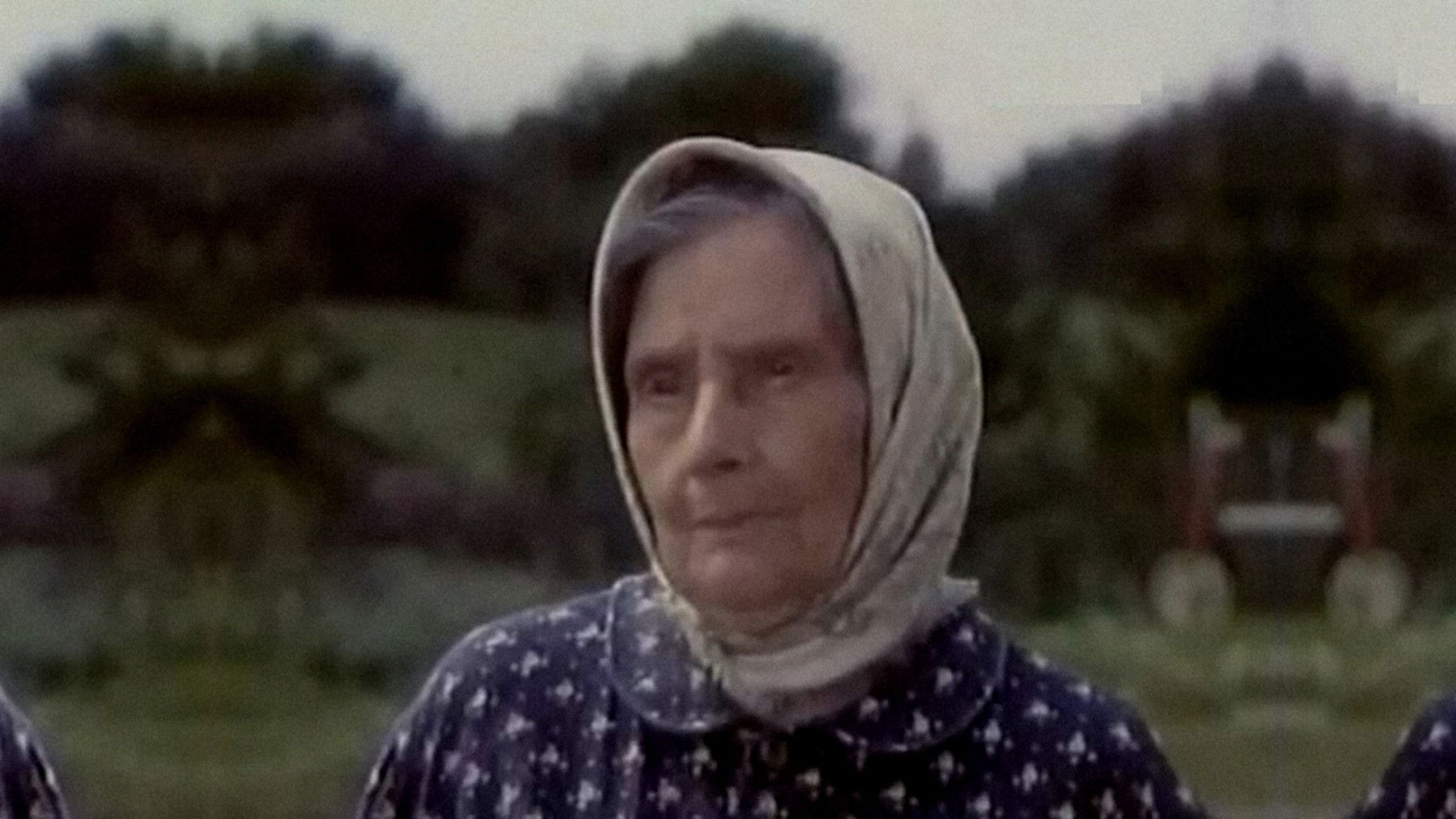 Backdrop for Little Stork