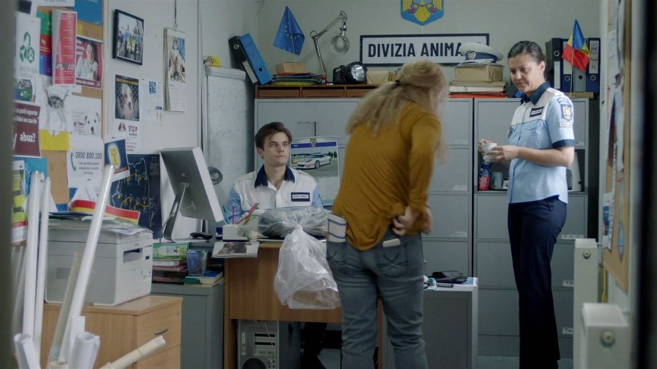 Backdrop for #DOGPOOPGIRL