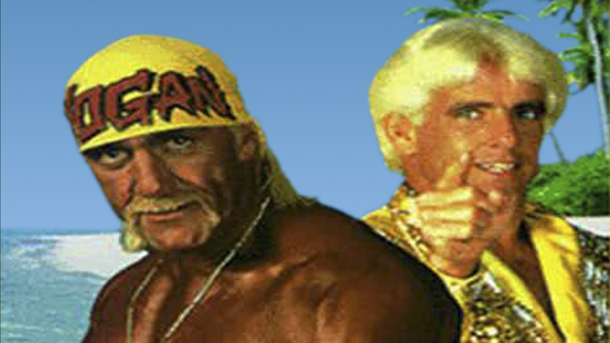 Backdrop for WCW Bash at the Beach 1994