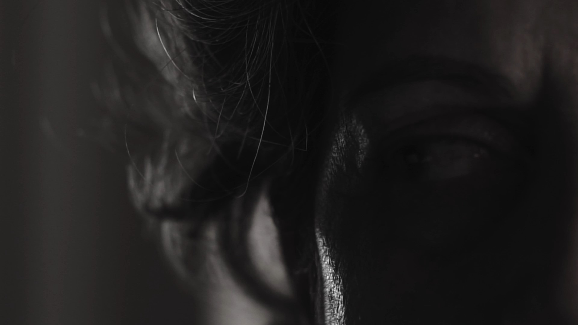 Backdrop for A Day in the Park