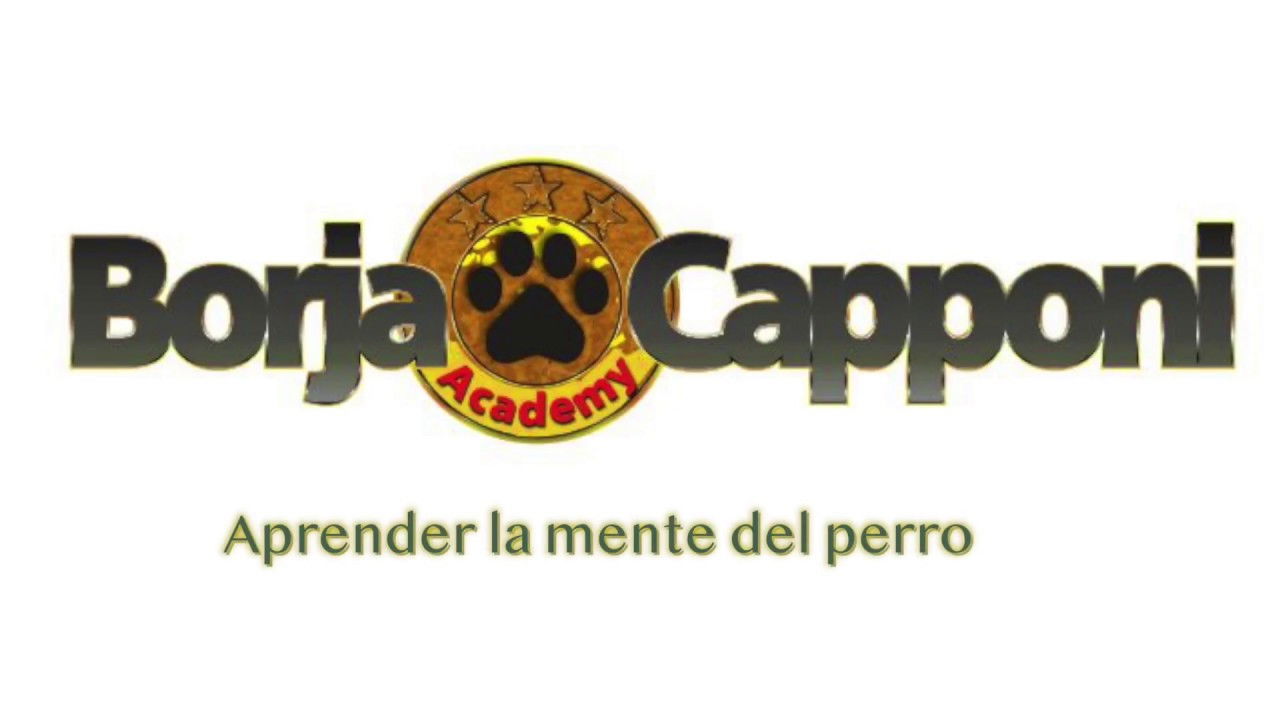 Backdrop for Malas Pulgas