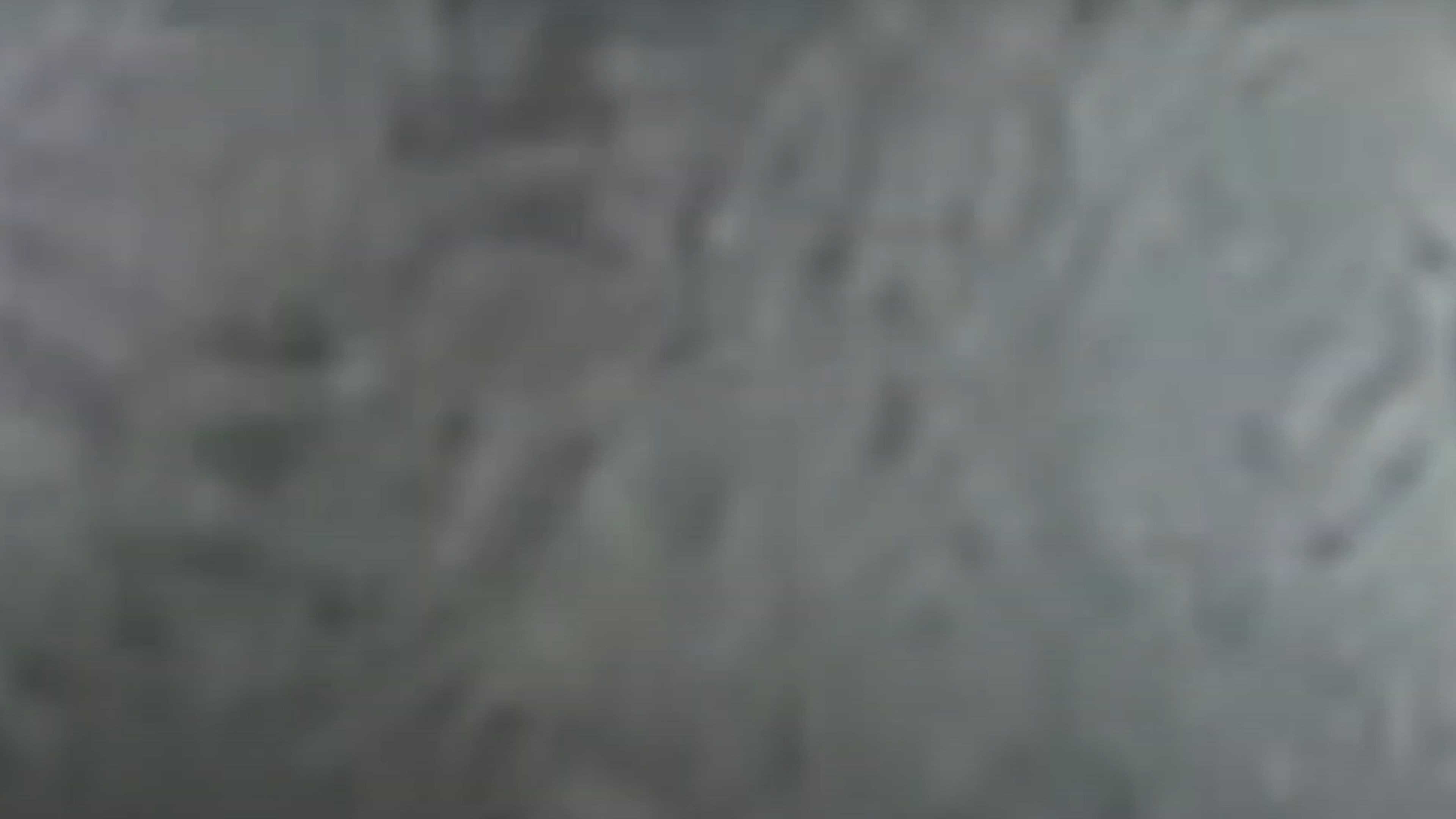 Backdrop for Brower's Blog