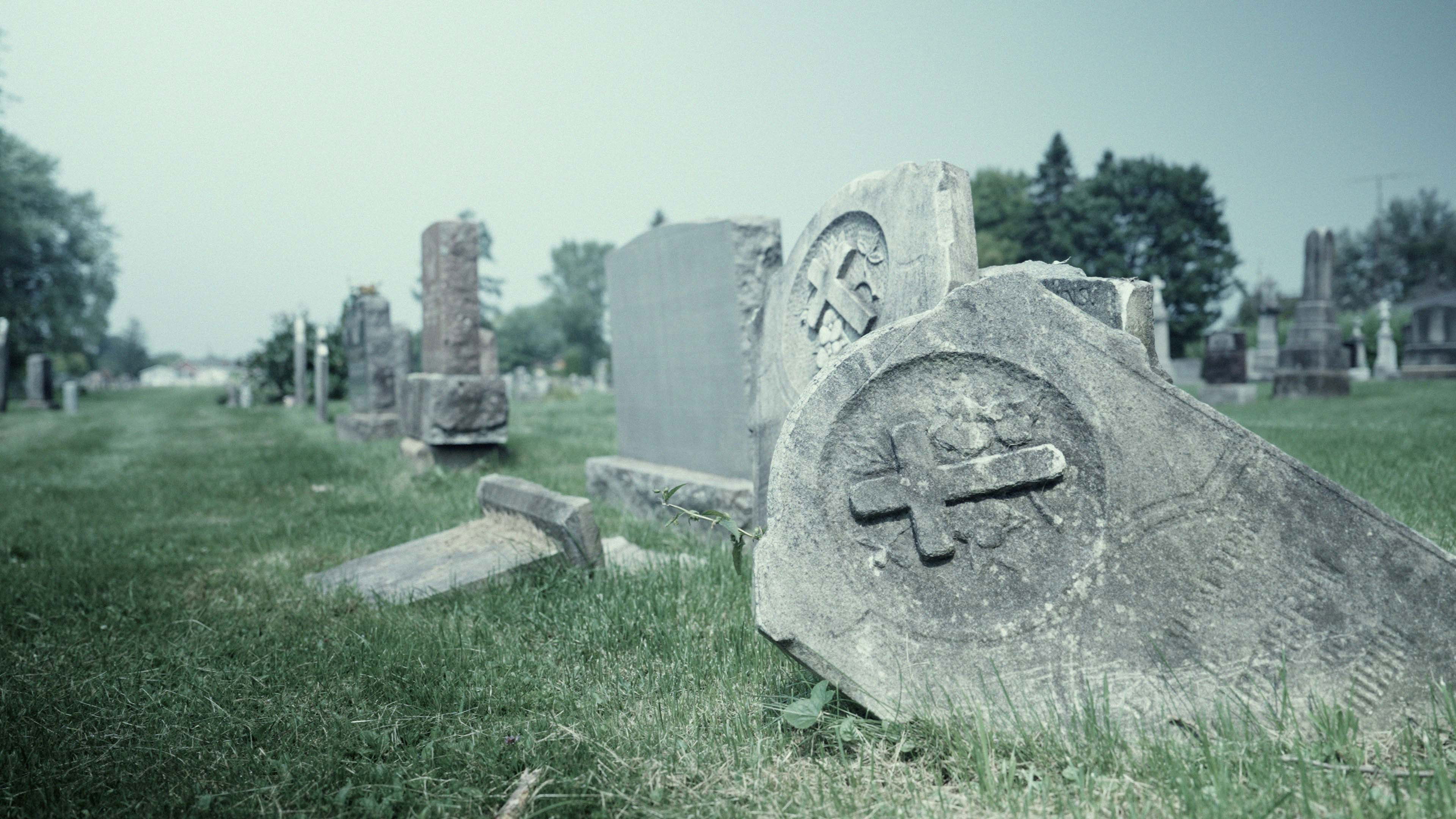 Backdrop for 10 days later