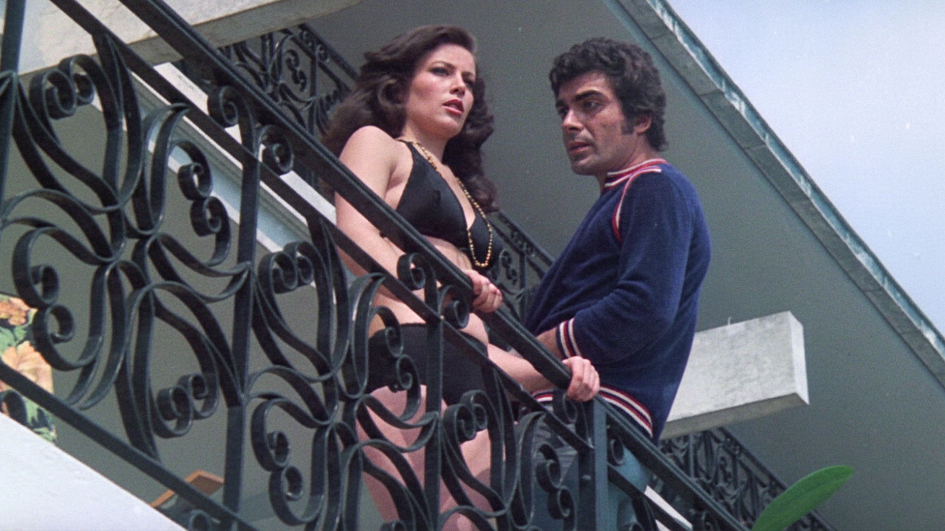 Backdrop for Special Squad Shoots on Sight