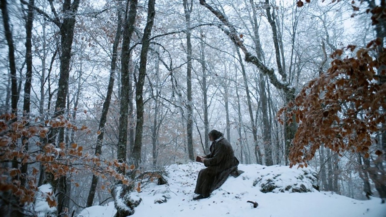 Backdrop for Ludwig & Johanna