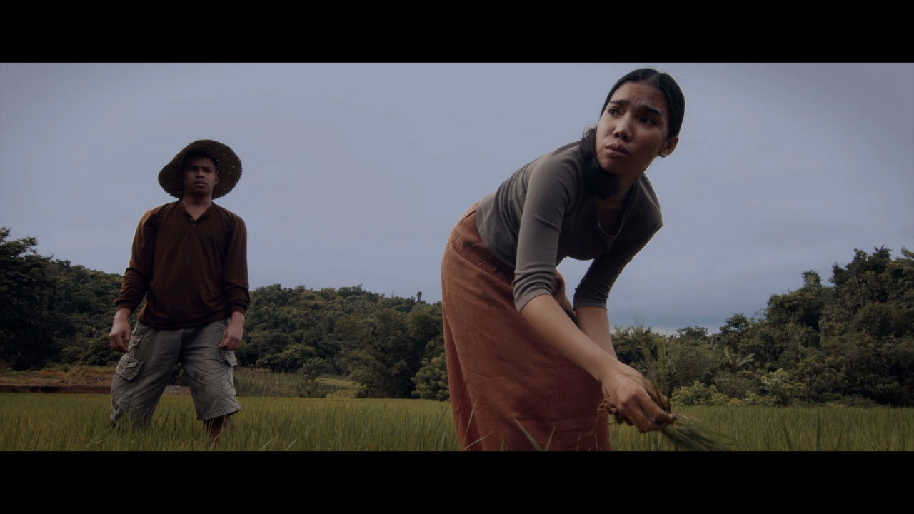 Backdrop for Holy Is He Who Earns