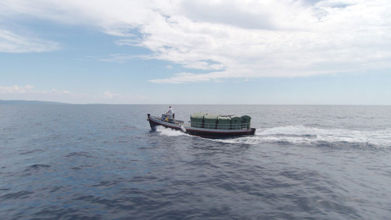 Backdrop for Matter Out of Place