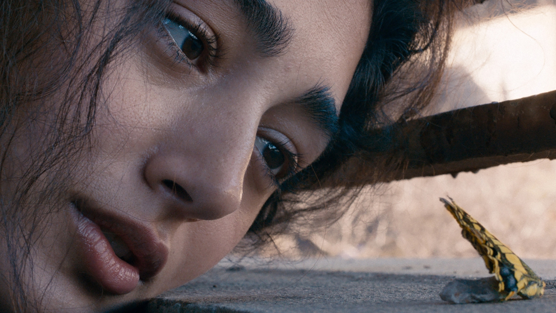 Backdrop for Go Home