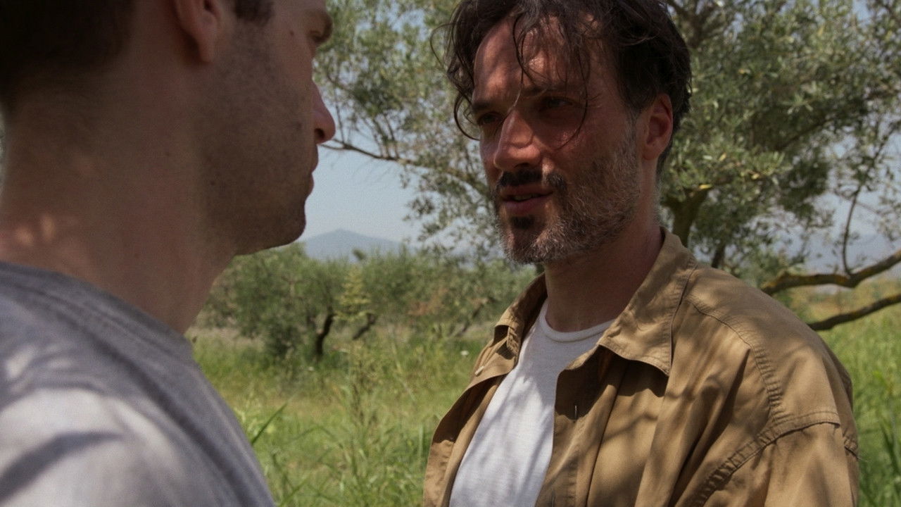 Backdrop for Zealotis