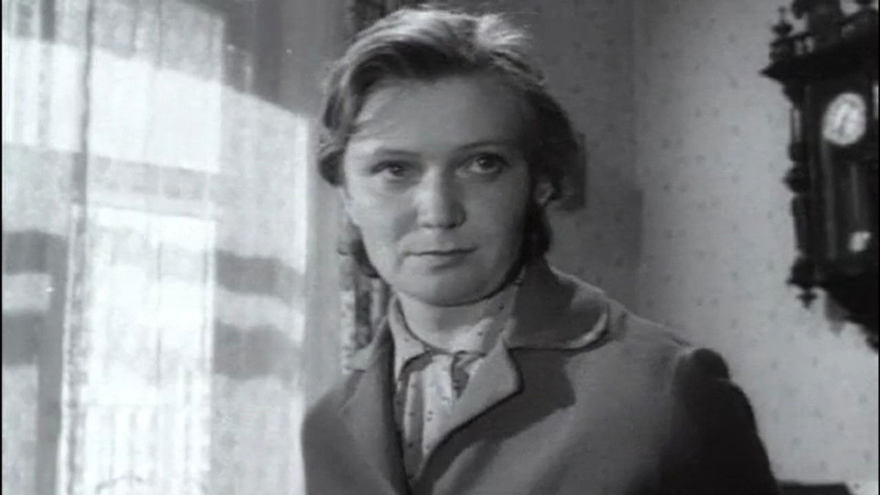 Backdrop for Adults and Children