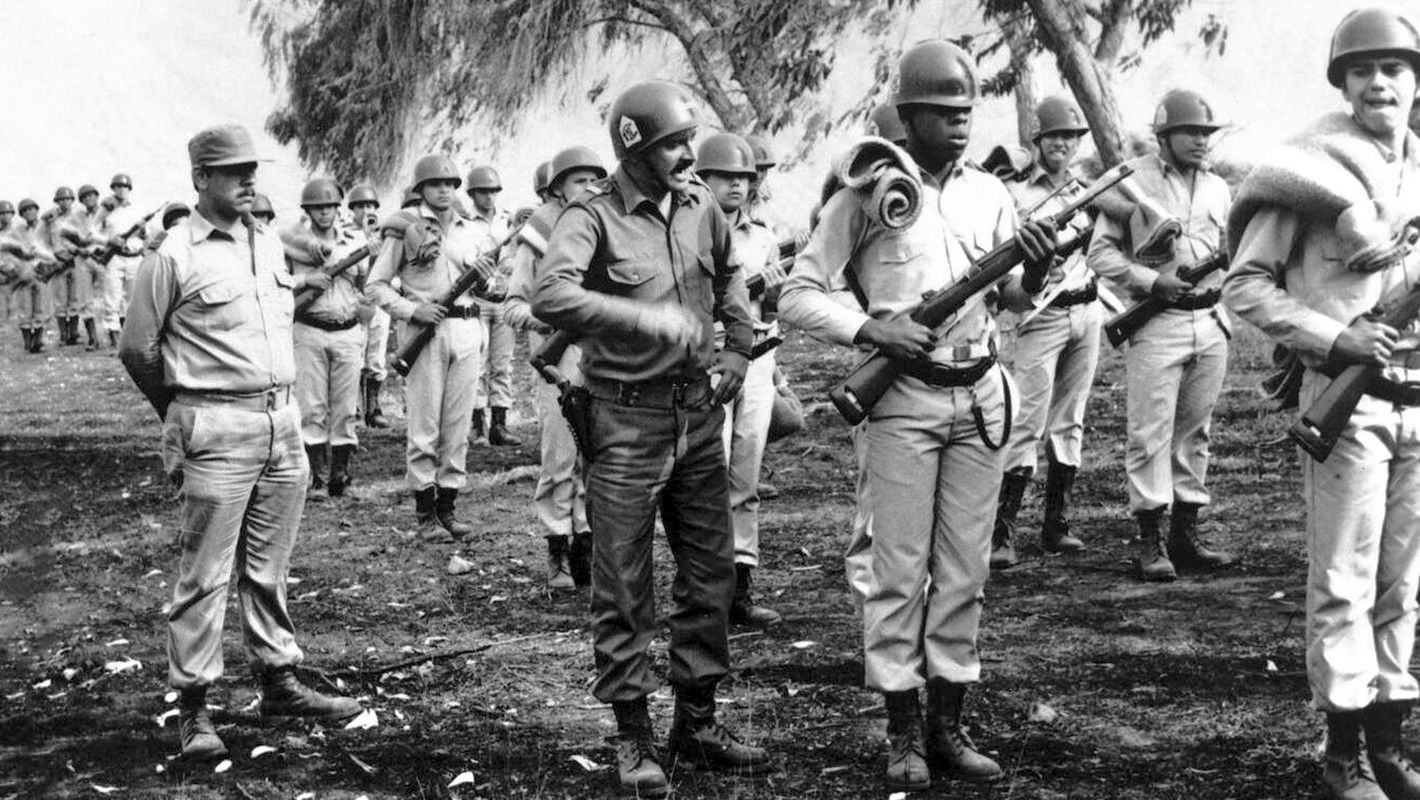 Backdrop for The City and the Dogs