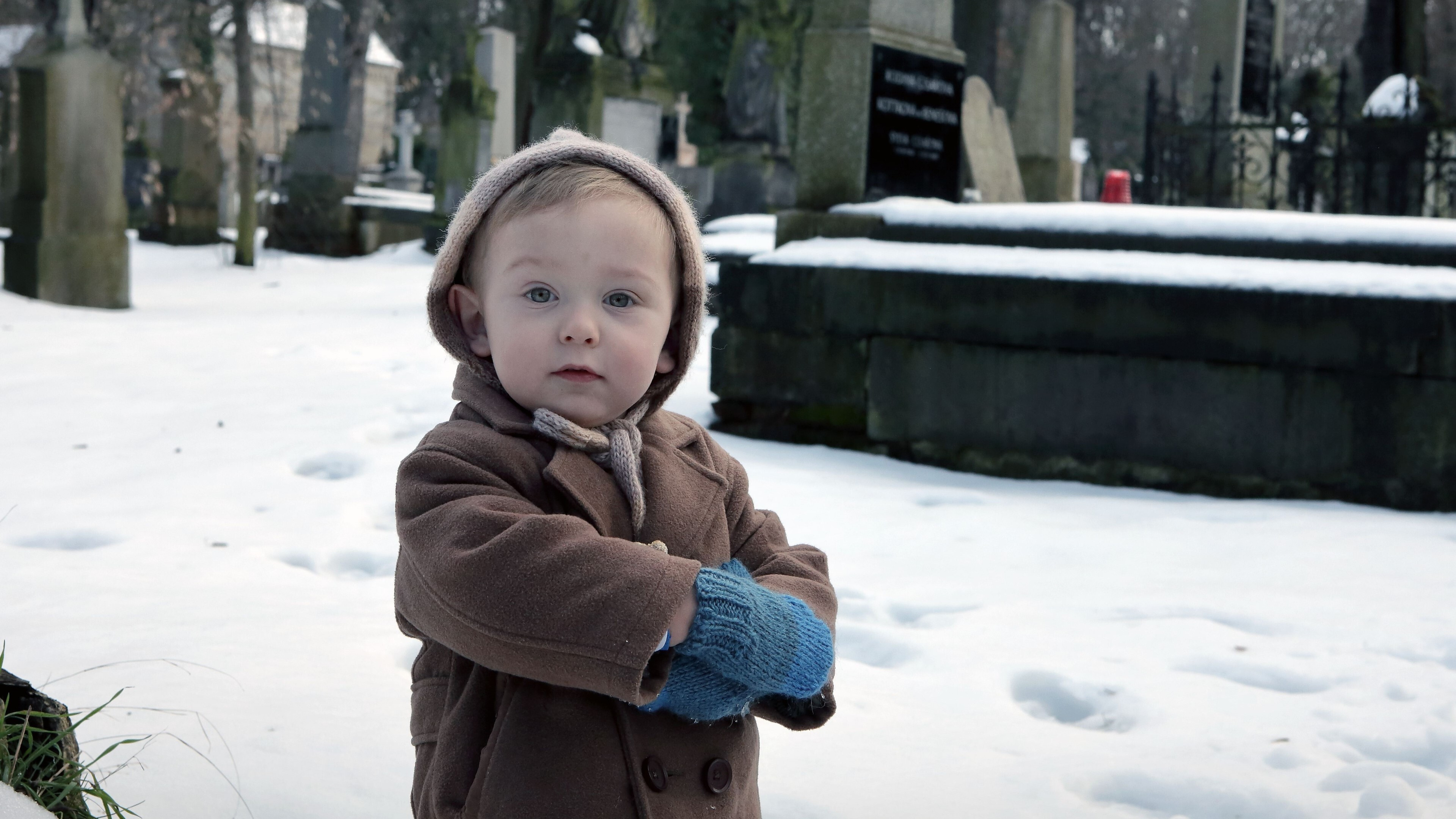 Backdrop for The Identity ES