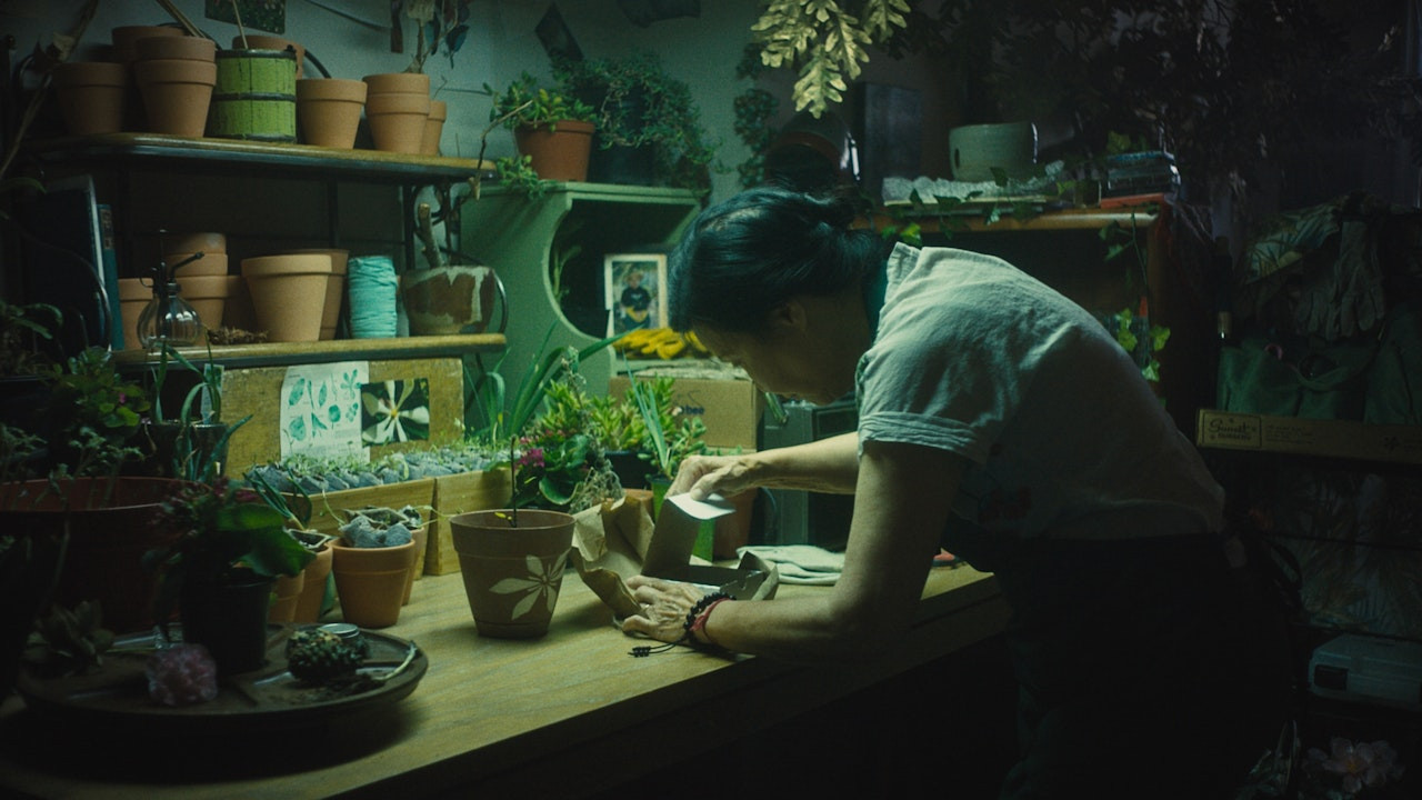 Backdrop for In Full Bloom