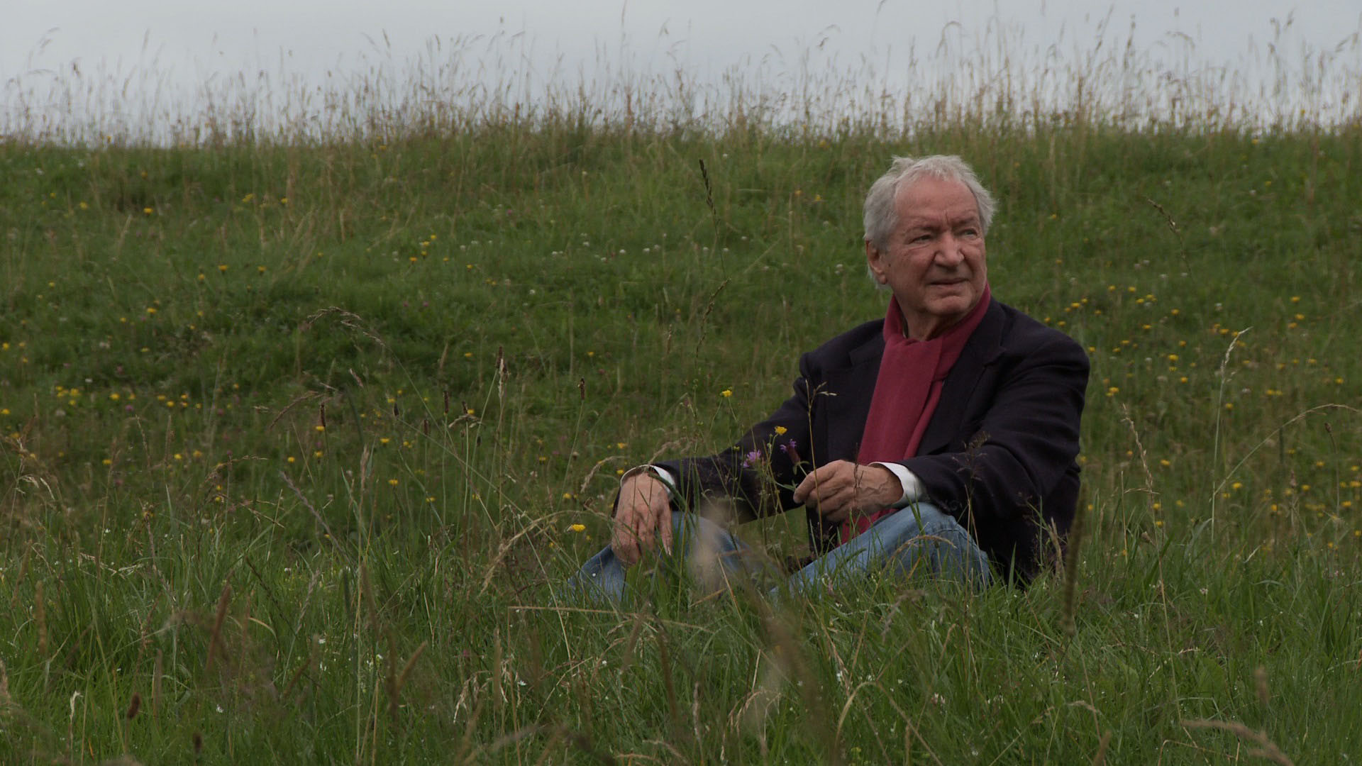 Backdrop for Jean-Jacques Rousseau, tout dire