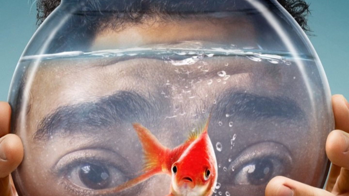 Backdrop for The Hidden One