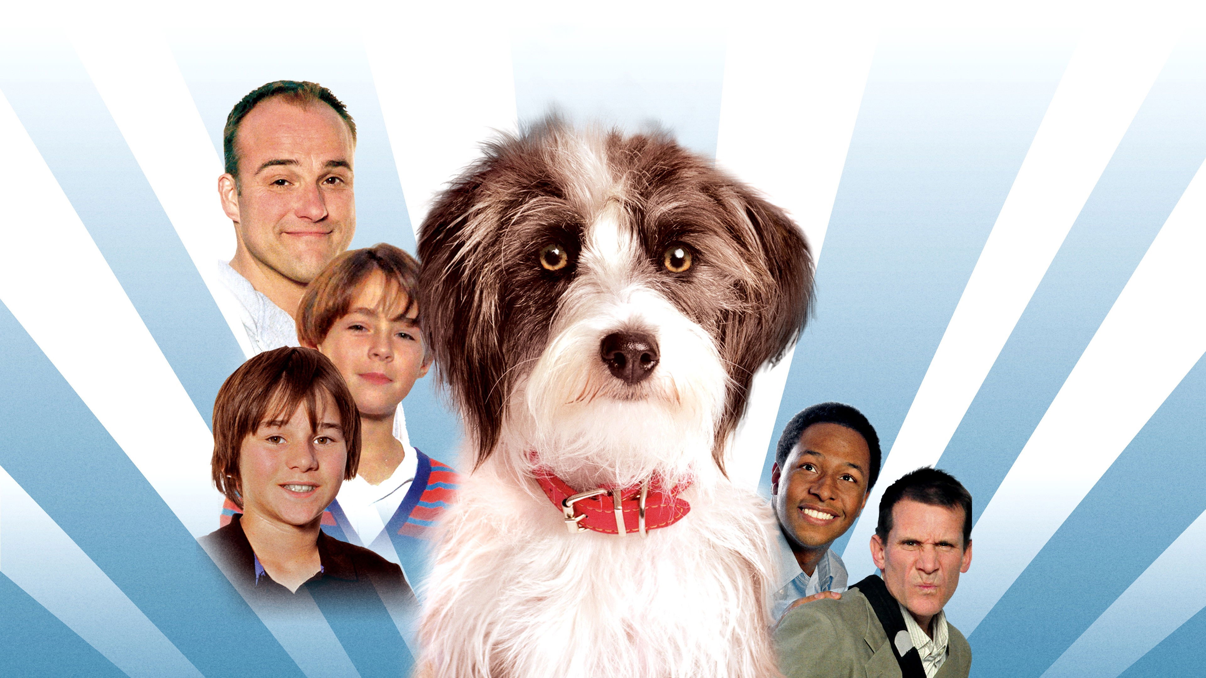 Backdrop for Sox: A Family's Best Friend