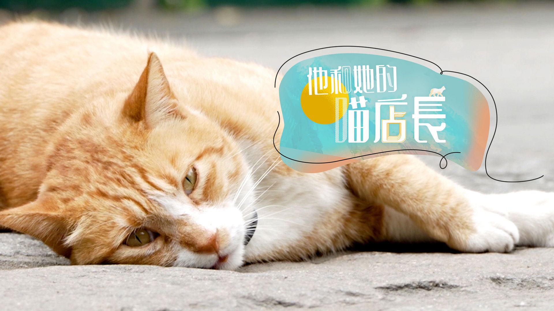 Backdrop for 他和她的喵店长