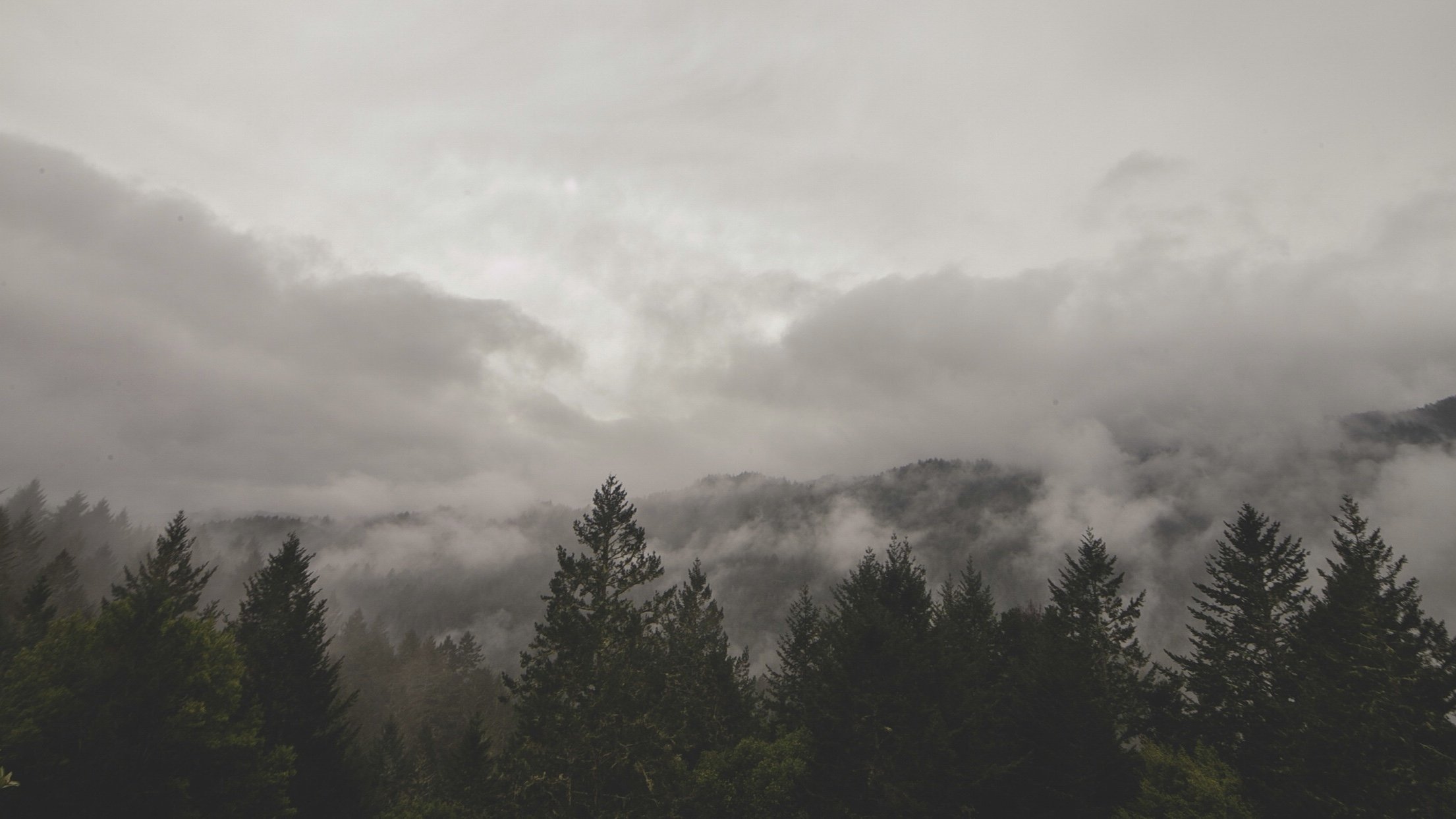 Backdrop for Elegía a un amigo