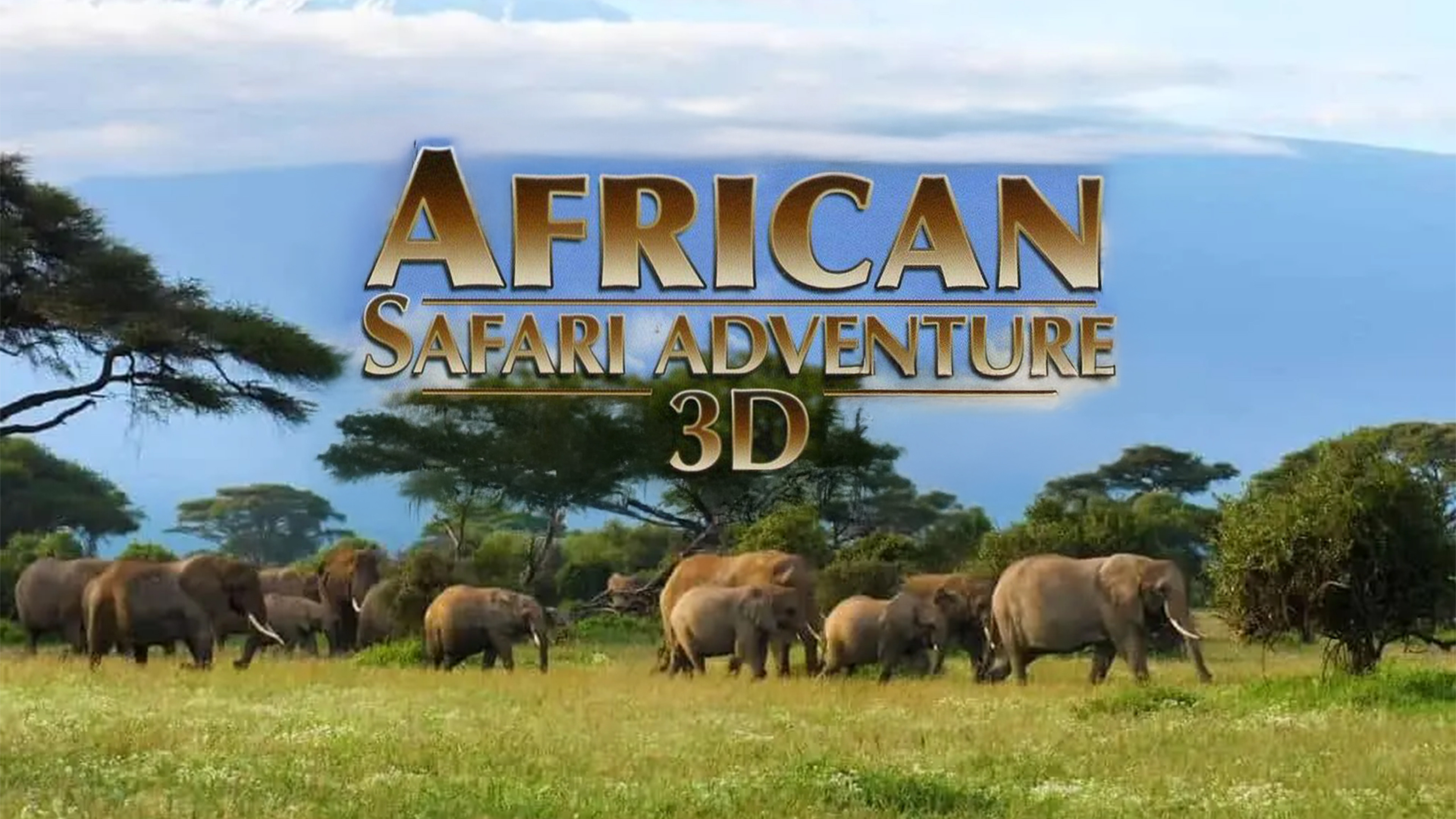 Backdrop for African Safari Adventure