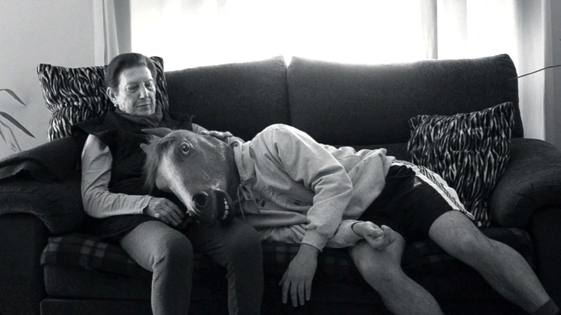 Backdrop for Horseface