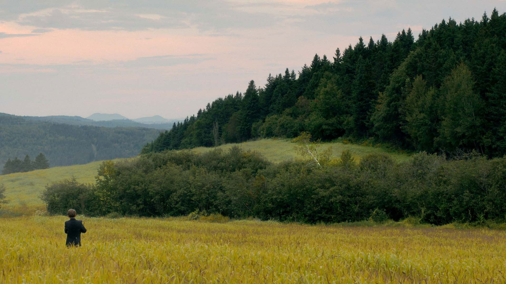 Backdrop for Anastasia