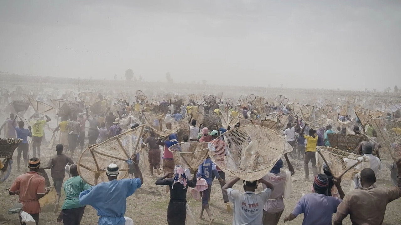 Backdrop for I bɔyɔrɔ, d’où viens-tu ? 