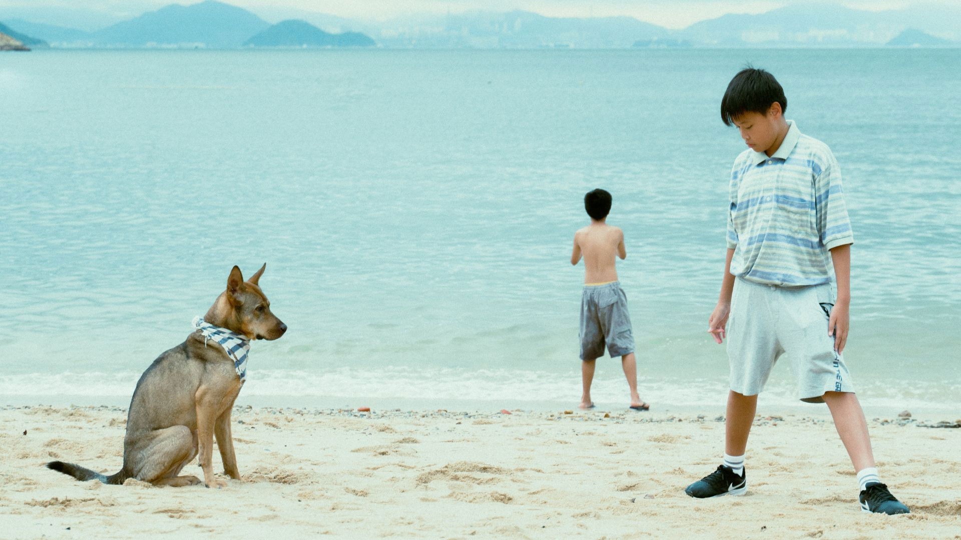 Backdrop for The Perks of Being Wild