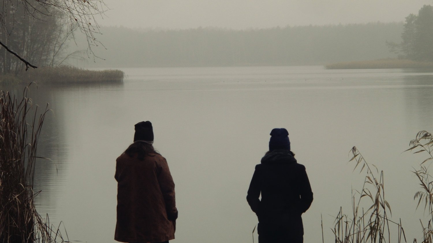 Backdrop for Color of November