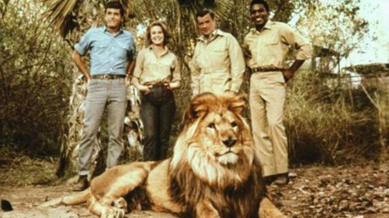 Backdrop for Clarence, the Cross-Eyed Lion