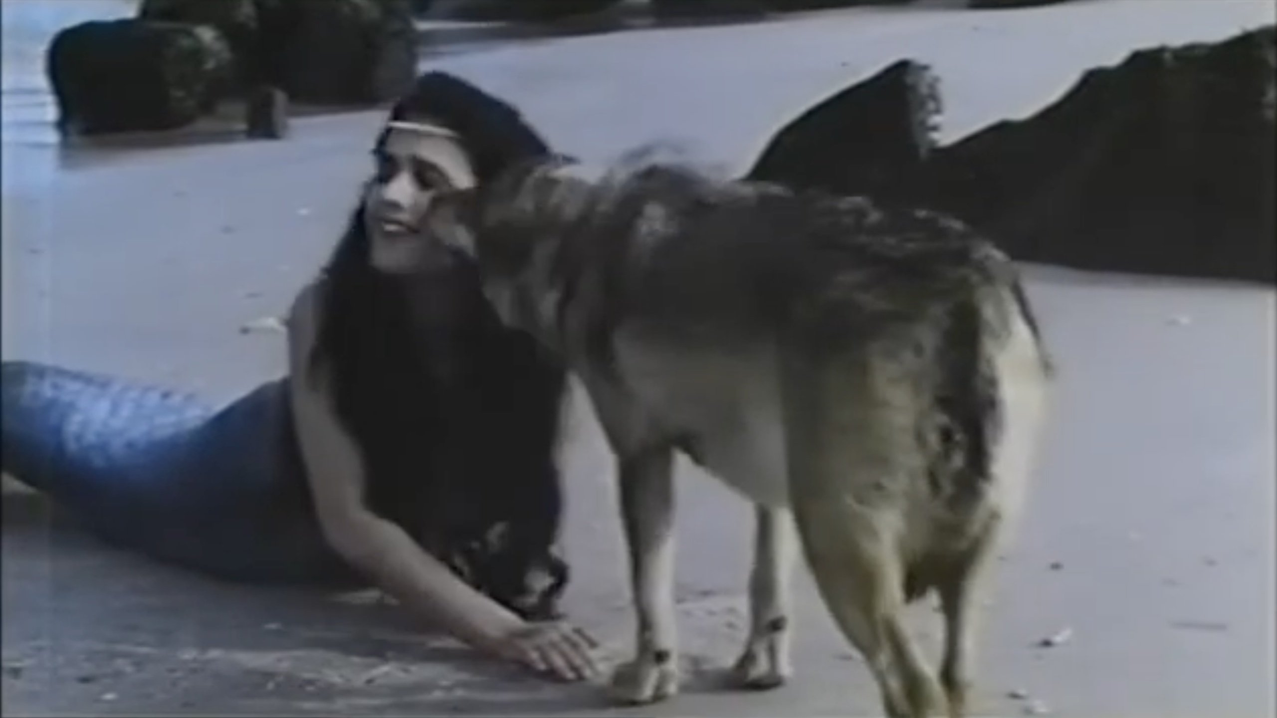 Backdrop for O camiño das estrelas: Galicia