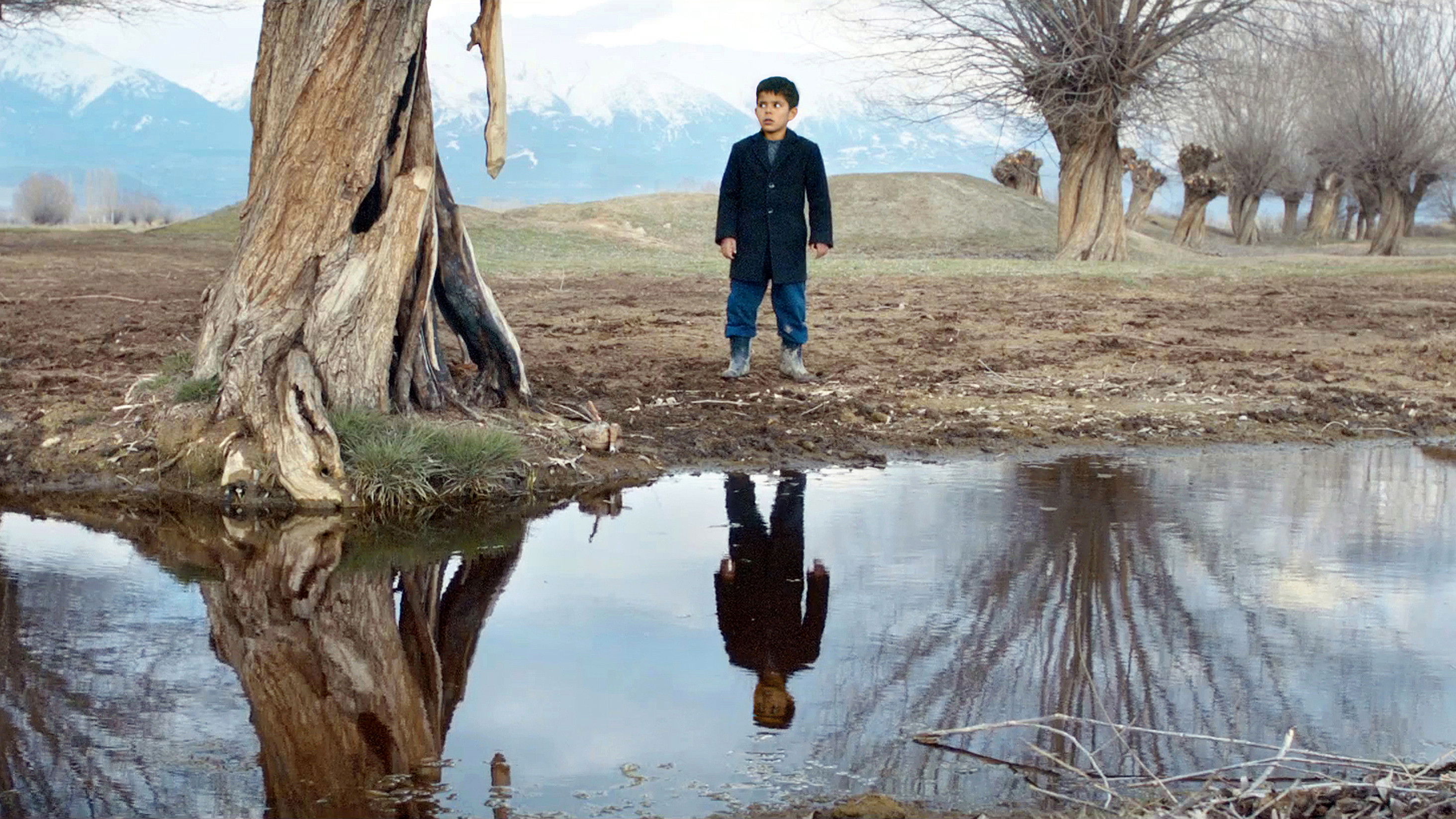 Backdrop for The Lamb