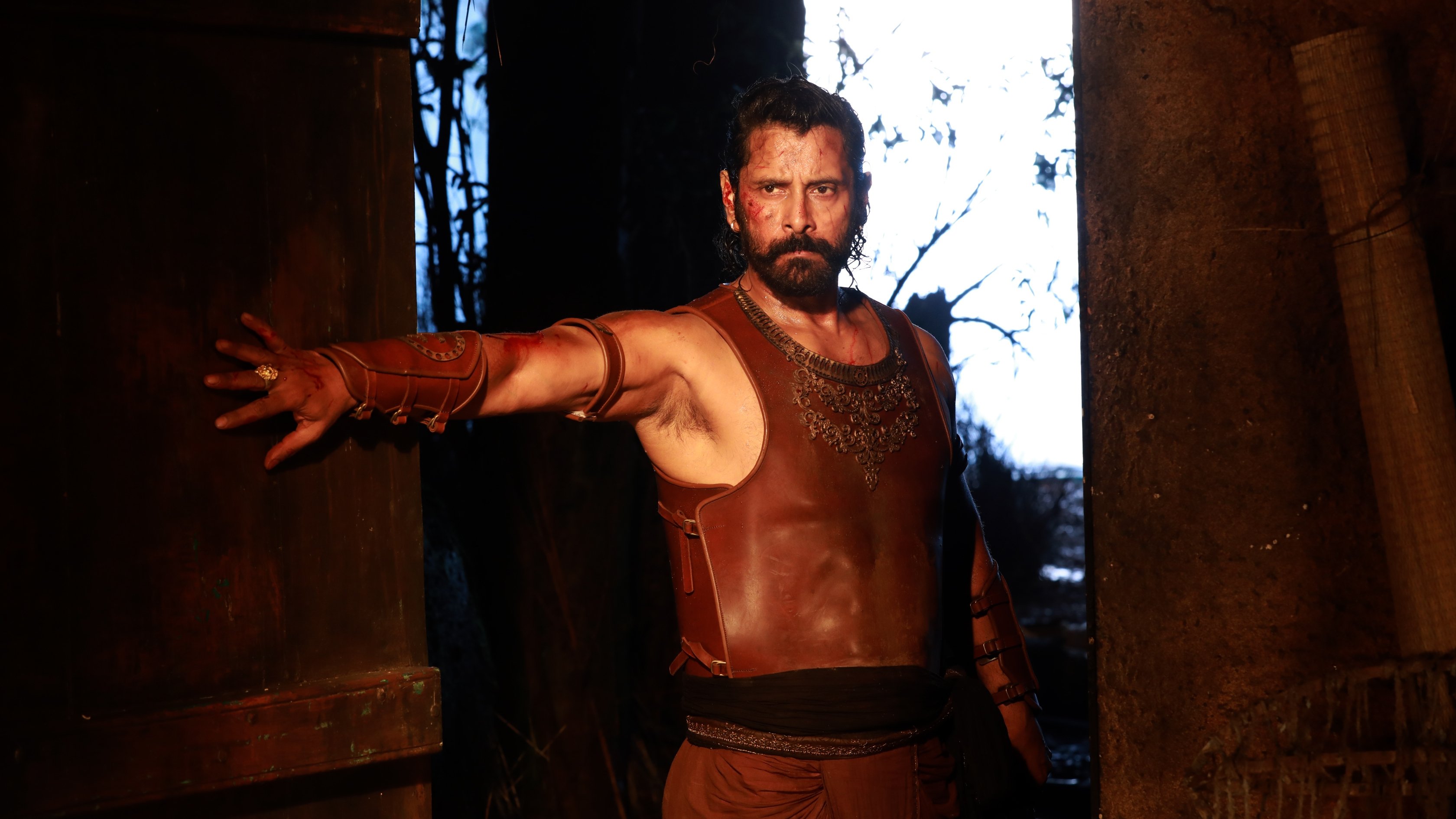 Backdrop for Ponniyin Selvan: Part I