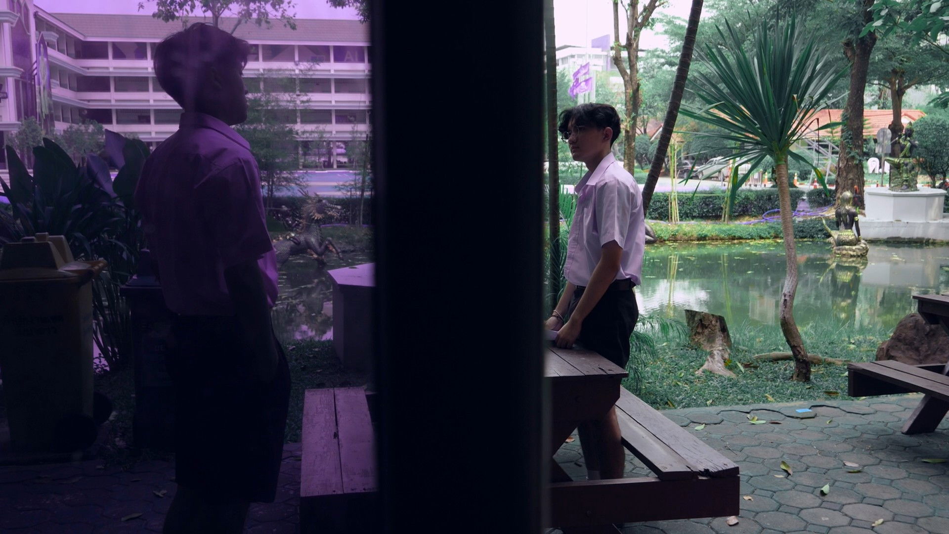 Backdrop for Secret among Wings