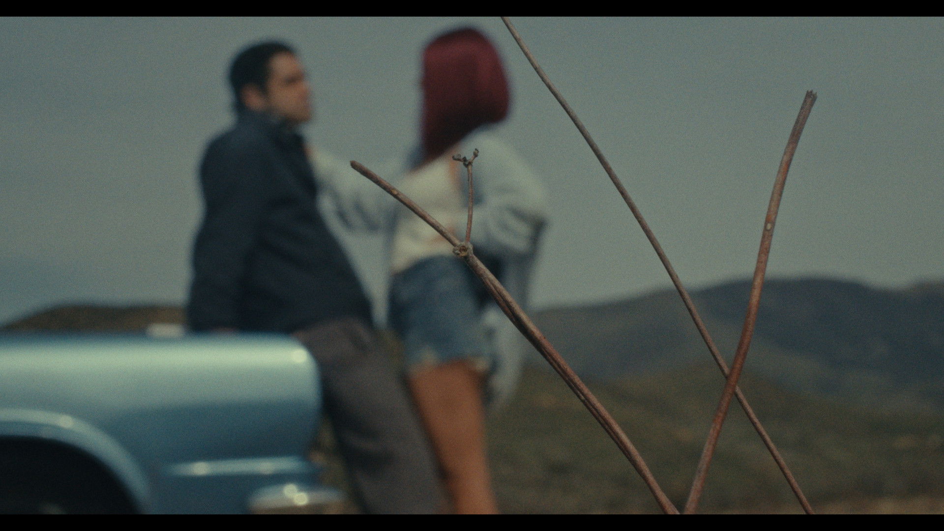 Backdrop for Halcyon