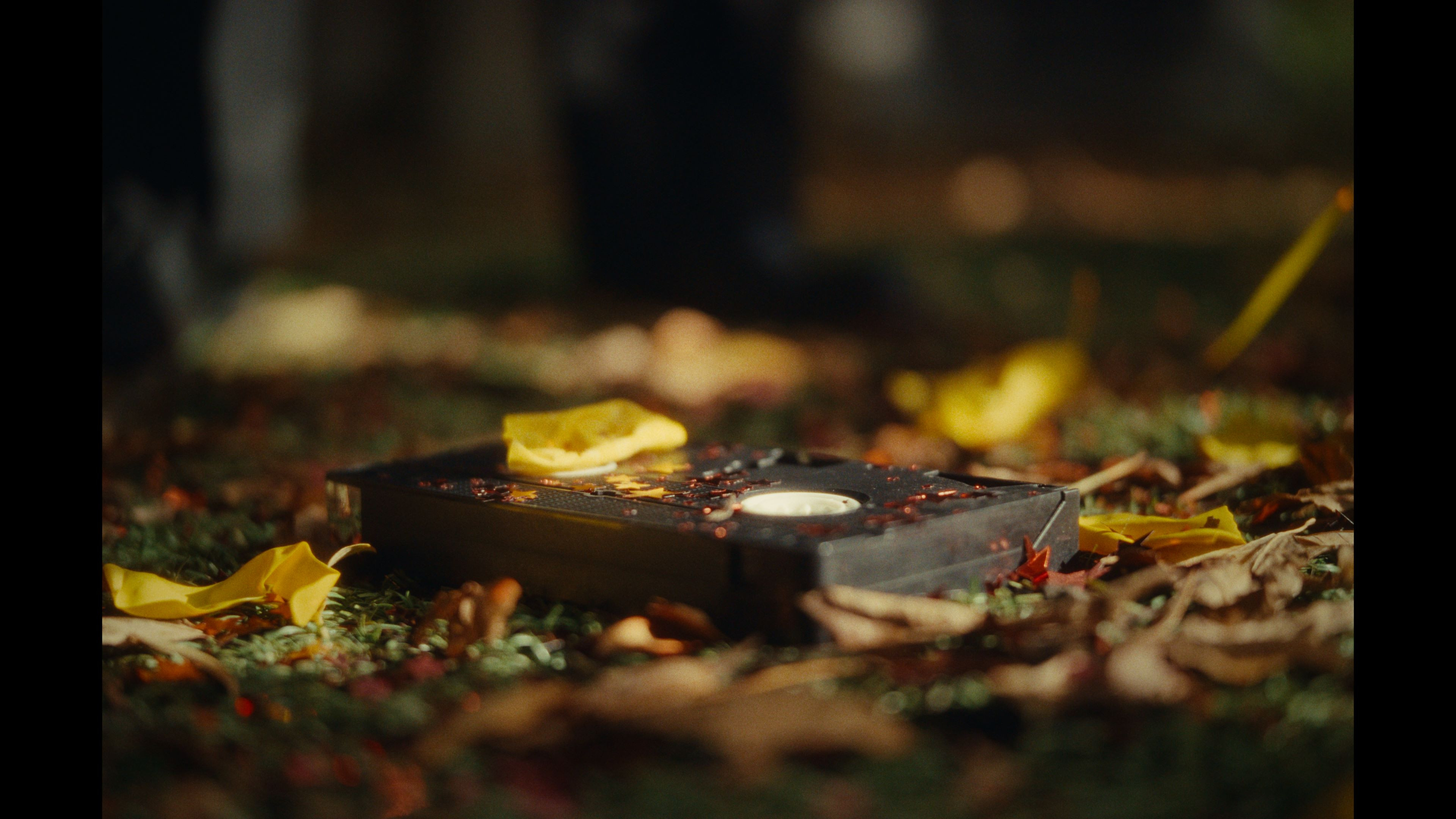 Backdrop for PICTURE DAY