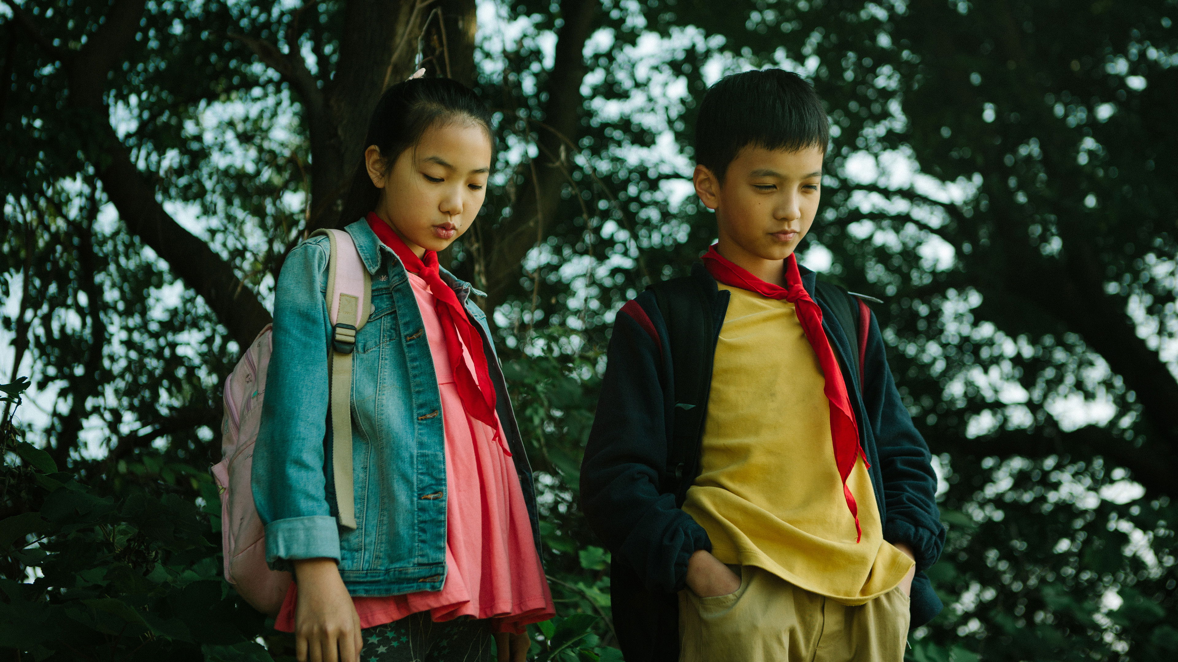 Backdrop for Suburban Birds