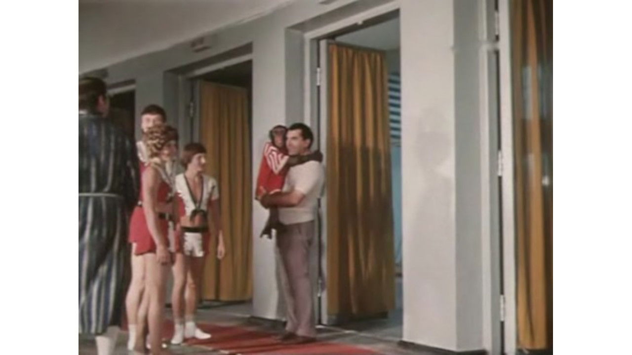 Backdrop for A Zebra Was Stolen