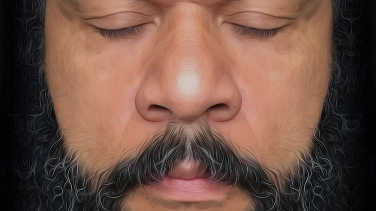 Backdrop for Dieudonné - En vérité