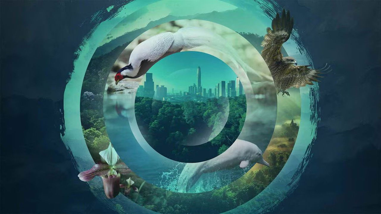 Backdrop for China's Wild Guangdong