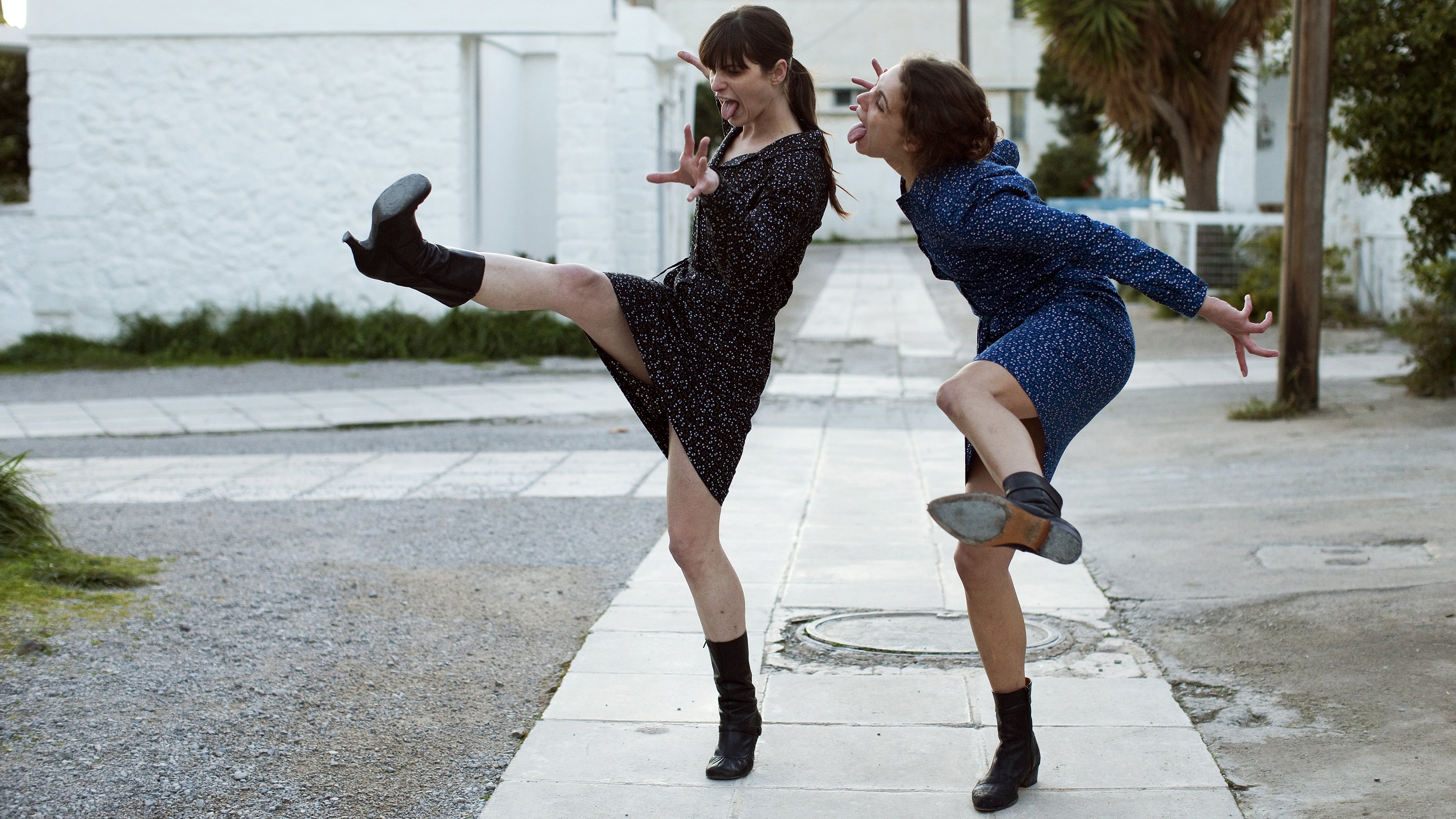 Backdrop for Attenberg