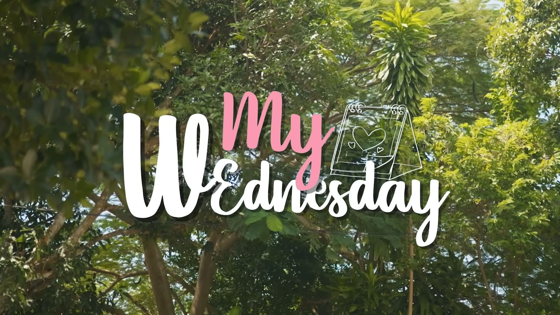 Backdrop for My Wednesday